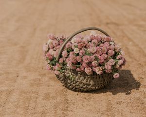 Preview wallpaper clover, flowers, bouquet, basket, road