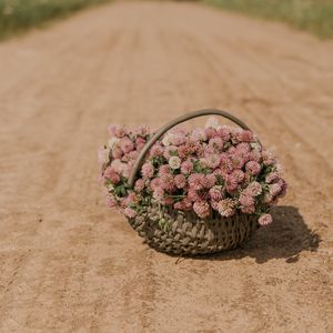 Preview wallpaper clover, flowers, bouquet, basket, road