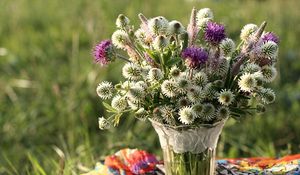 Preview wallpaper clover, thistle, flowers, field, flower, vase