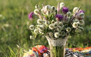 Preview wallpaper clover, thistle, flowers, field, flower, vase