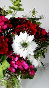 Preview wallpaper cloves, nigella, flowers, bouquet, beautifully