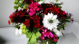 Preview wallpaper cloves, nigella, flowers, bouquet, beautifully