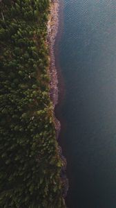 Preview wallpaper coast, aerial view, forest, water