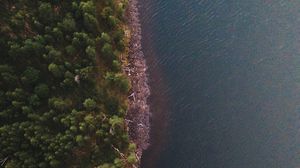 Preview wallpaper coast, aerial view, forest, water