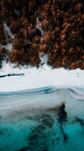 Preview wallpaper coast, aerial view, sea, beach, forest, trees