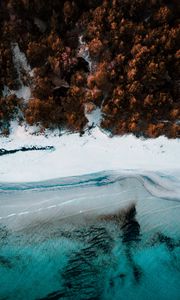 Preview wallpaper coast, aerial view, sea, beach, forest, trees