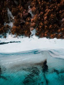 Preview wallpaper coast, aerial view, sea, beach, forest, trees