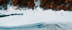 Preview wallpaper coast, aerial view, sea, beach, forest, trees