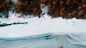 Preview wallpaper coast, aerial view, sea, beach, forest, trees