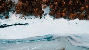 Preview wallpaper coast, aerial view, sea, beach, forest, trees