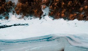 Preview wallpaper coast, aerial view, sea, beach, forest, trees