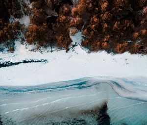 Preview wallpaper coast, aerial view, sea, beach, forest, trees