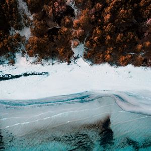Preview wallpaper coast, aerial view, sea, beach, forest, trees