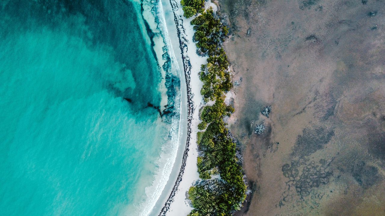 Wallpaper coast, aerial view, sea, bushes