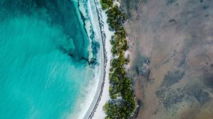 Preview wallpaper coast, aerial view, sea, bushes
