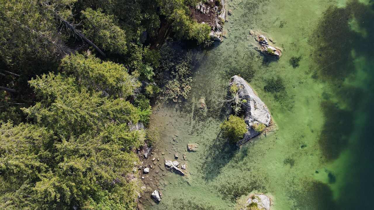 Wallpaper coast, aerial view, stone, trees