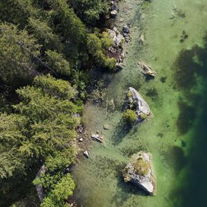 Preview wallpaper coast, aerial view, stone, trees