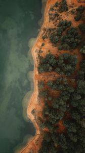 Preview wallpaper coast, aerial view, trees, beach