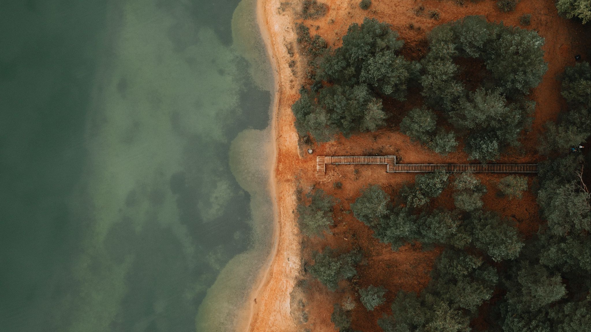 Download wallpaper 2048x1152 coast, aerial view, trees, beach ultrawide