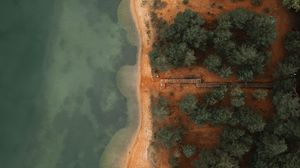 Preview wallpaper coast, aerial view, trees, beach