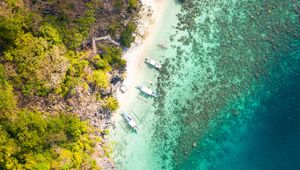 Preview wallpaper coast, aerial view, water, forest, trees