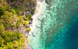 Preview wallpaper coast, aerial view, water, forest, trees