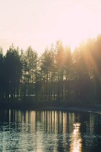 Preview wallpaper coast, arch, trees, lake, decline, sun