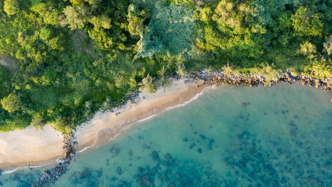Wallpaper coast, beach, aerial view, sea, trees, vegetation