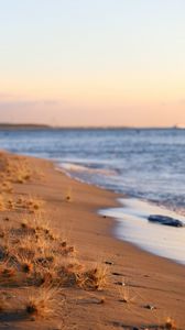 Preview wallpaper coast, beach, grasses, sea, horizon