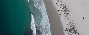 Preview wallpaper coast, beach, sea, aerial view, waves