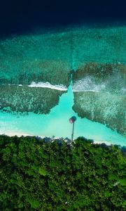 Preview wallpaper coast, beach, sea, aerial view, palm