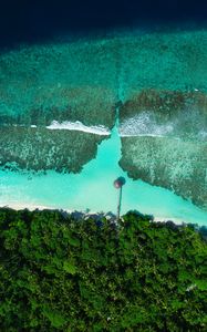 Preview wallpaper coast, beach, sea, aerial view, palm