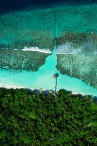 Preview wallpaper coast, beach, sea, aerial view, palm