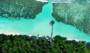 Preview wallpaper coast, beach, sea, aerial view, palm