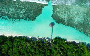 Preview wallpaper coast, beach, sea, aerial view, palm