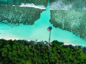 Preview wallpaper coast, beach, sea, aerial view, palm