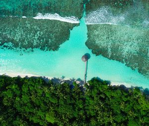 Preview wallpaper coast, beach, sea, aerial view, palm