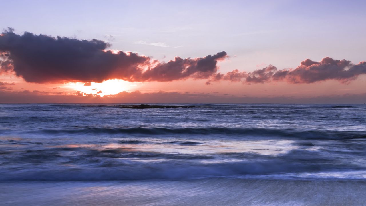 Wallpaper coast, branch, tree, sea, sunrise