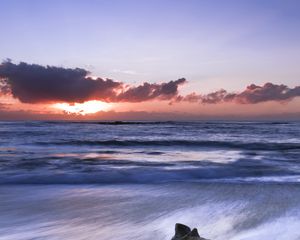 Preview wallpaper coast, branch, tree, sea, sunrise