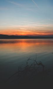Preview wallpaper coast, branches, sunset, horizon