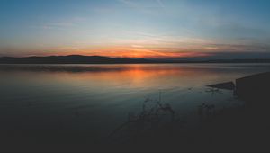 Preview wallpaper coast, branches, sunset, horizon