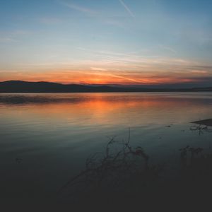 Preview wallpaper coast, branches, sunset, horizon