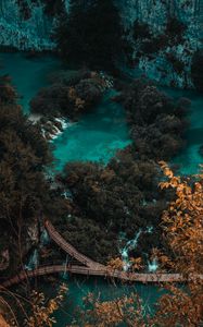 Preview wallpaper coast, bridge, aerial view, trees, water, nature