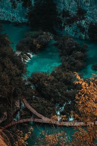 Preview wallpaper coast, bridge, aerial view, trees, water, nature