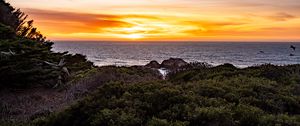 Preview wallpaper coast, bushes, sea, landscape, sunrise