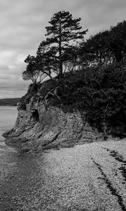 Preview wallpaper coast, bw, wood, pebbles