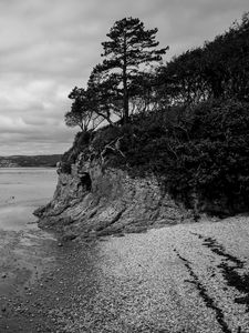 Preview wallpaper coast, bw, wood, pebbles