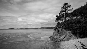 Preview wallpaper coast, bw, wood, pebbles