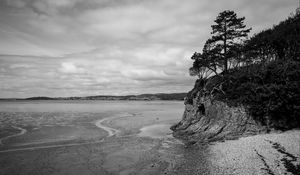 Preview wallpaper coast, bw, wood, pebbles