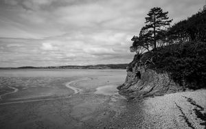 Preview wallpaper coast, bw, wood, pebbles